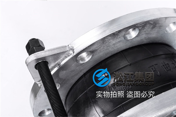 地暖 循环泵热镀锌橡胶挠性管接头主机系统